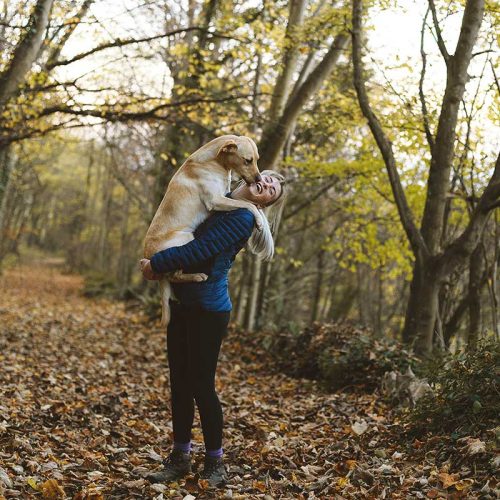 dogmarvel-happy-dog