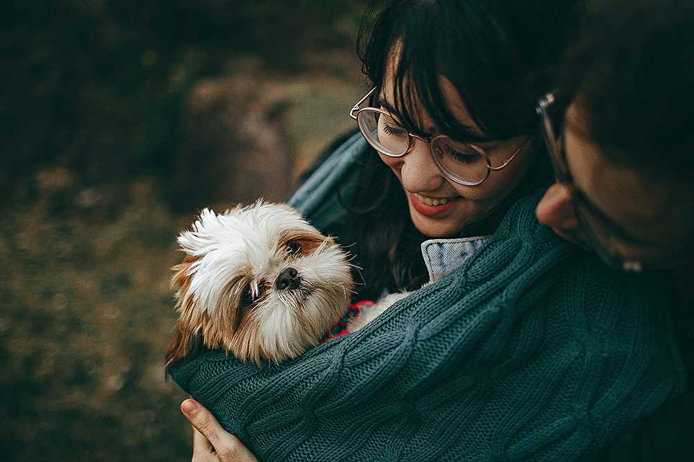 dogmarvel-familie
