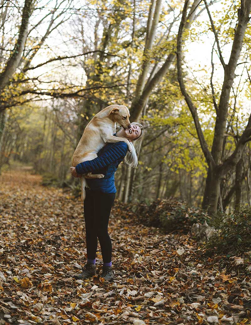 dogmarvel-happy-dog